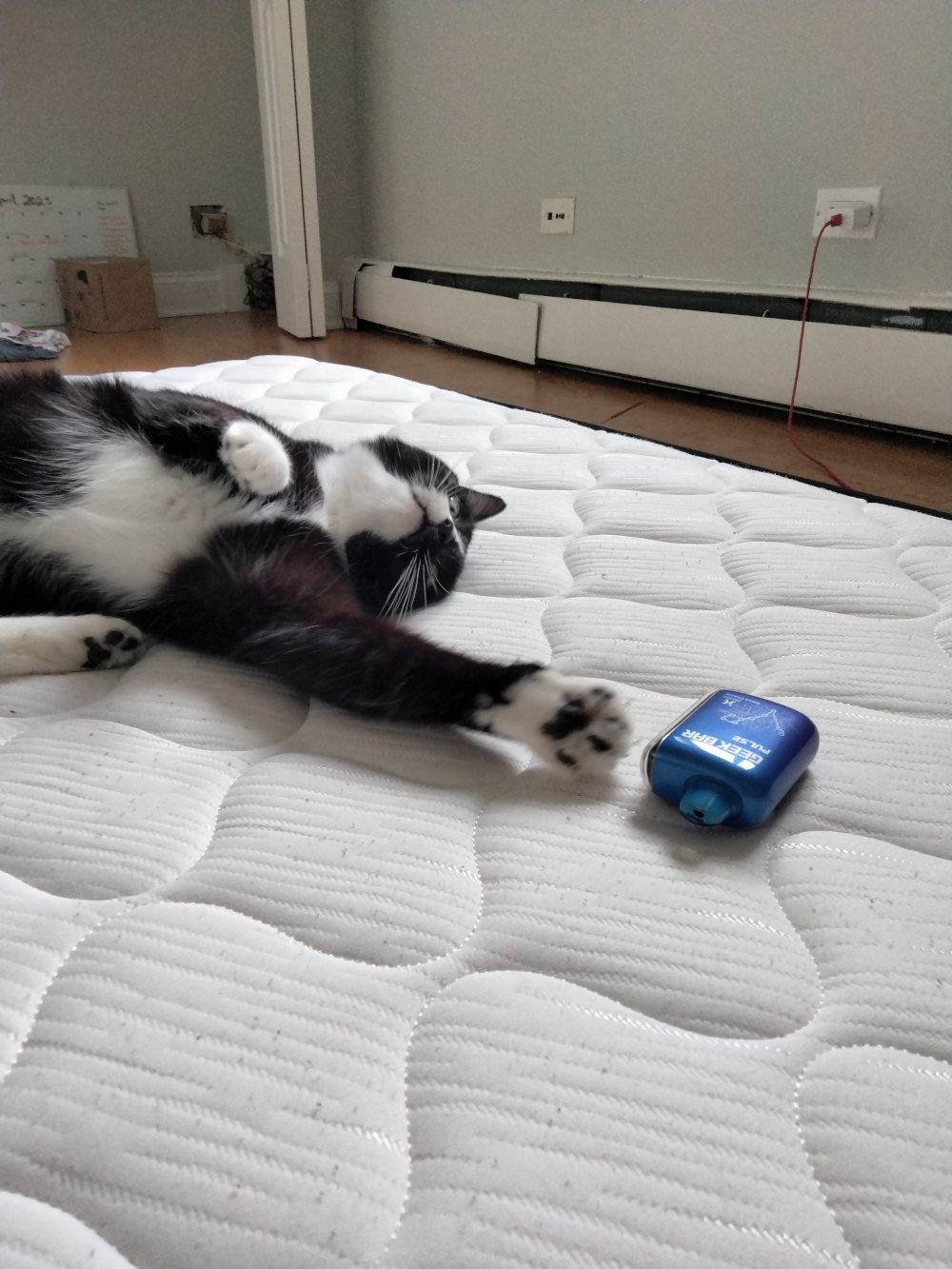 Jimothy reaching for his vape